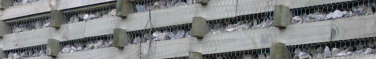 retaining wall image